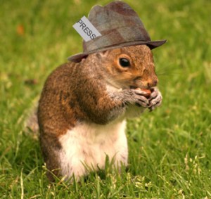 The tabloid squirrel