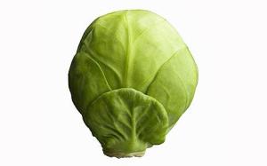 sb10068893l-001.jpg Vegetable Brussel Sprout