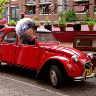 Pig in a 2CV